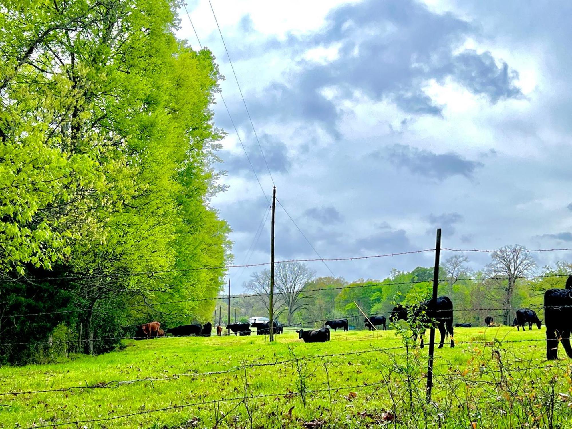 Platt A Tranquil Retreat Loaded With Ambiance! Sleeps 10ヴィラ エクステリア 写真