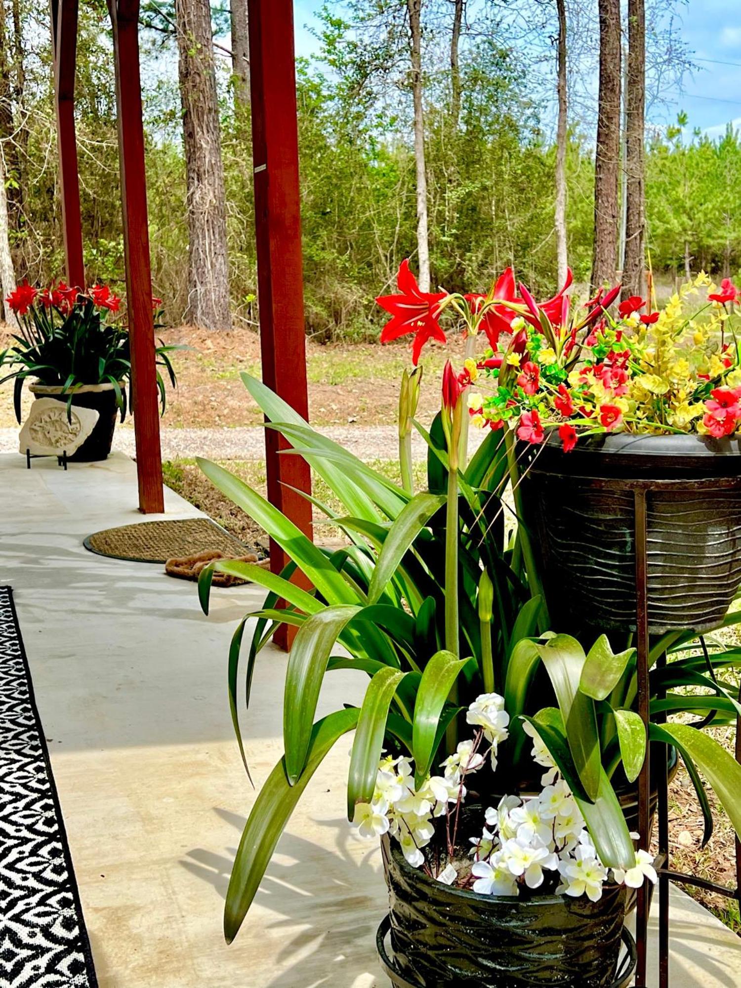 Platt A Tranquil Retreat Loaded With Ambiance! Sleeps 10ヴィラ エクステリア 写真